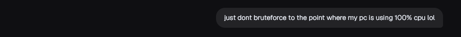 My message: "just dont bruteforce to the point where my pc is using 100% cpu lol"